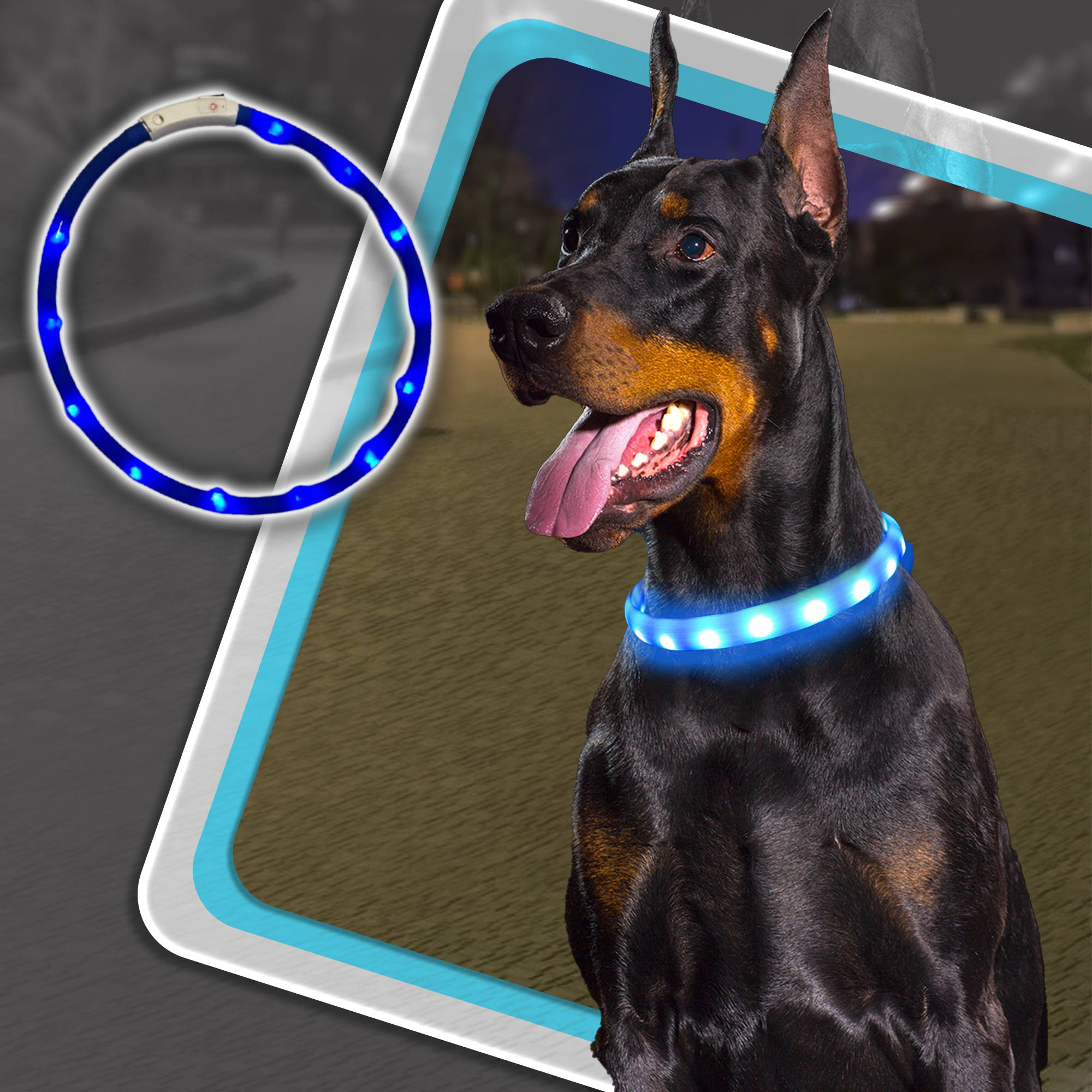 Halo LED Night Dog Collar Fishing Buddy